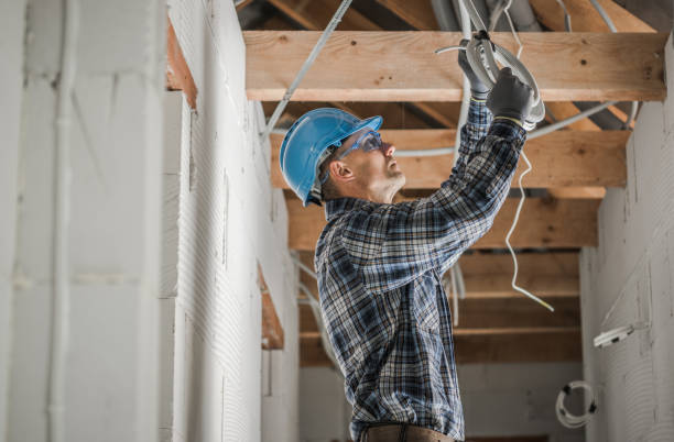 Best Electrician for Home Renovation  in Pilot Point, TX